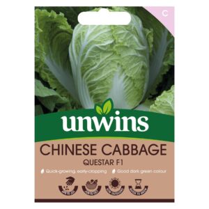 Unwins Vegetable Chinese Cabbage Questar F1 Hybrid - 50 Seeds