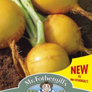 Mr Fothergills Turnip Oregon F1 100 Seeds