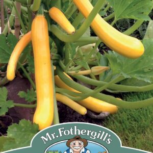 Mr Fothergills - Vegetable - Courgette - Shooting Star F1 - 10 Seeds
