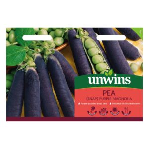 Unwins Vegetable Pea Sugarsnap Purple Magnolia - 50 Seeds