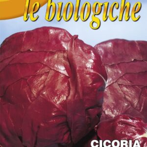 Franchi Organic BIOB40/13 Chicory Rossa Di Verona Seeds