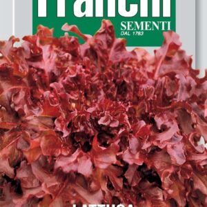 Franchi Seeds of Italy Lettuce Red Salad Bowl Seeds