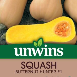 Unwins Squash (Butternut) Hunter F1 10 Seeds