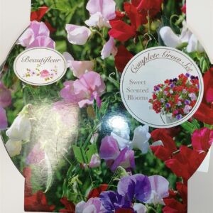 Beautifleur - Sweet Pea Metal planter Seeds