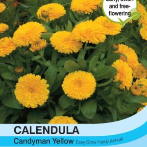 Thompson & Morgan Calendula Candyman Yellow 100 Seed