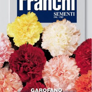 Franchi Seeds of Italy - Flower - FDBF_ 325-10 - Carnation - Garoano Di Nizza Mix - Seeds