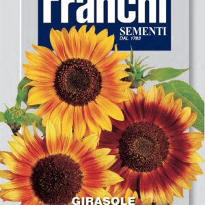 Franchi Seeds of Italy - Flower - FDBF_ 329-1 - Sunflower - Girasole - Ornmental Multicolour - Seeds