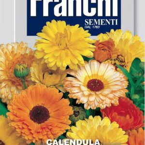 Franchi Seeds of Italy - Flower - FDBF_ 309-1 - Calendula - Pot Marigold - Fiesta - Seeds