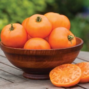 Tomato Orange Wellington F1 Hybrid Seeds