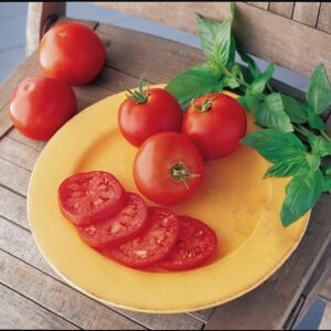 Tomato Burpee's Long Keeper Seeds