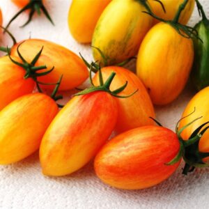 Tomato Artisan Blush Tiger Seeds