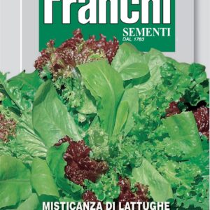 Franchi - 093/015 - Lettuce - Autumn/Winter Mix - Autunno/Inverno - 10g