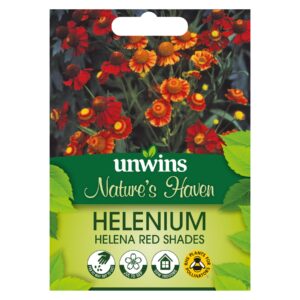Unwins Flower Helenium Helena Red Shades - 75 Seeds