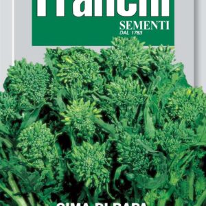 Franchi - 041/002 - Sprouting Turnip Top - Quarantina - 15g Seeds