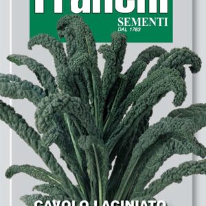 Franchi Seeds of Italy Kale Nero Di Toscana Seeds