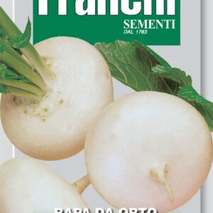 Franchi - 110/004 - Turnip - Bianca Lodigiana - Seeds