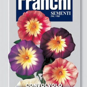 Franchi Seeds of Italy - Flower - FDBF_ 315-1 - Convolvolo - Bella di Giorno - Mix - Seeds