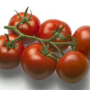 Tomato Mecano RZ F1 Hybrid (72-422) Seed