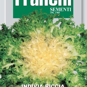 Franchi Seeds of Italy Endive Riccia Cuor D'Oro Seeds