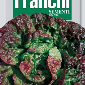 Franchi Seeds of Italy Lettuce Passion Brune Seeds