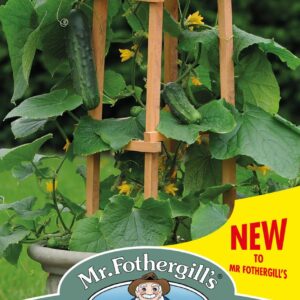 Mr Fothergills - Vegetable - Cucumber - Patio Snacker F1  - 5 Seeds