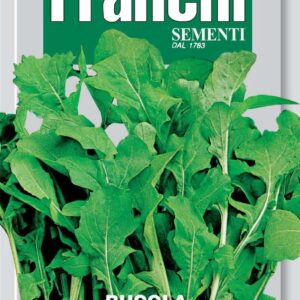 Franchi Seeds of Italy Cultivated Rocket Coltivata Seeds