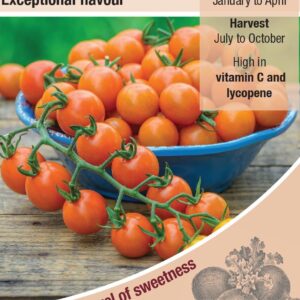 Kings Seeds Tomato Honeycomb F1 Hybrid Seeds