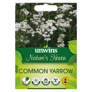 Unwins Flower Native British Isles Wildflower Common Yarrow - 500 Seeds