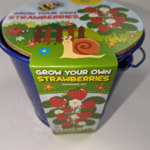 Taylors Bulbs Grow Your Own Kids Strawberry Planter