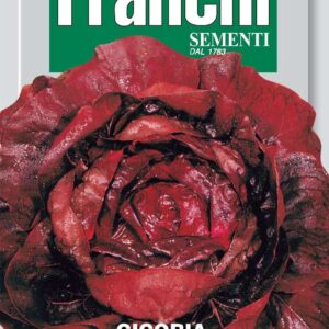 Franchi Seeds of Italy - DBO 40/64 - Chicory - Palla Rossa 3 Sel. Orchidea Rossa - Seeds