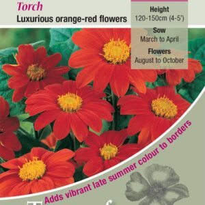 Kings Seeds  Tithonia Torch Seeds
