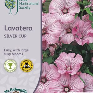 Mr Fothergills RHS Lavatera Silver Cup Seeds