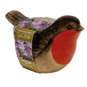 Novelty Gift Robin Ceramic Planter Crocus Bulb Kit