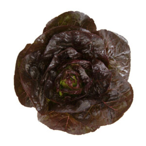 Lettuce Red Gem Alaine RZ (41-454) Seeds
