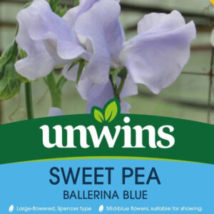 Unwins Flower Sweet Pea Ballerina Blue - 21 Seeds