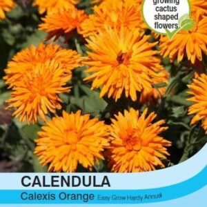 Thompson & Morgan Calendula Calexis Orange 50 seed