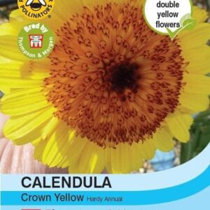 Thompson & Morgan Calendula Crown Yellow 100 seed