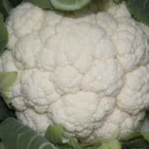 Cauliflower Skywalker F1 Hybrid Seeds