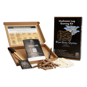 Mushroom Blue Oyster Mushroom Log Growing Kit Gift Pack