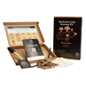 Mushroom - Shiitake Mushroom Log Growing Kit - Gift Pack