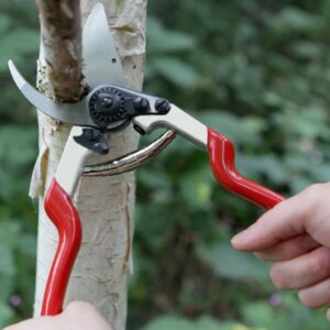 Darlac DP1040 Expert Dual Bypass Pruner UK SHIPPING ONLY