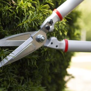 Darlac DP1426 Expert Bonsai & Topiary Shear UK SHIPPING ONLY