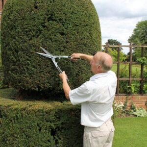 Darlac DP200 Super Sharp Shear UK SHIPPING ONLY