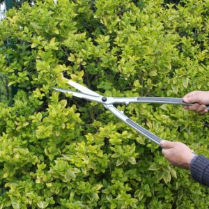 Darlac DP401 Lightweight Shear 10inch UK SHIPPING ONLY