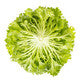 Lettuce Blond Crispy Exwatch RZ - LS11215 Seeds