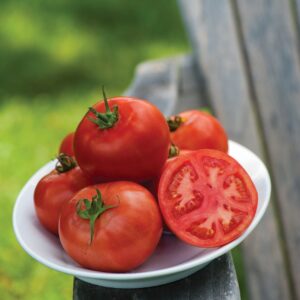Tomato Fordhook Early VF Seeds