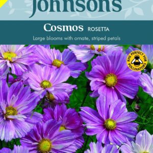 Johnsons Cosmos Rosetta 30 Seeds
