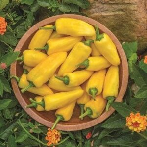 Pepper (Sweet) Lemon Dream Seeds