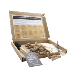 Mushroom Blue Oyster Mushroom Log Growing Kit