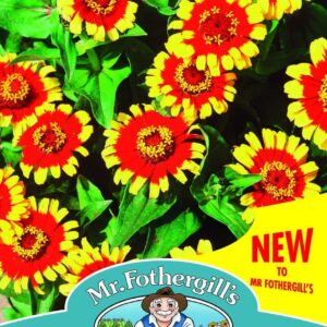 Mr Fothergills Zinnia Sombrero 50 Seeds
